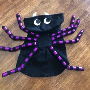 Spooky Spider Dog Costume 🕷️